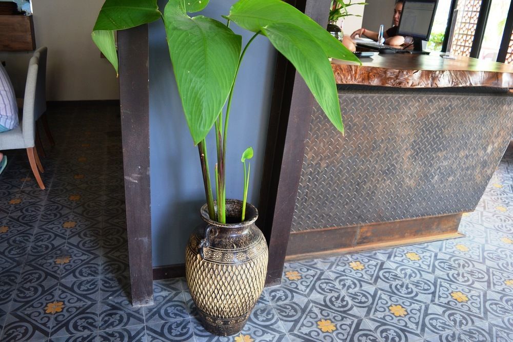 Monsoon Bassac Hotel Phnom Penh Zewnętrze zdjęcie
