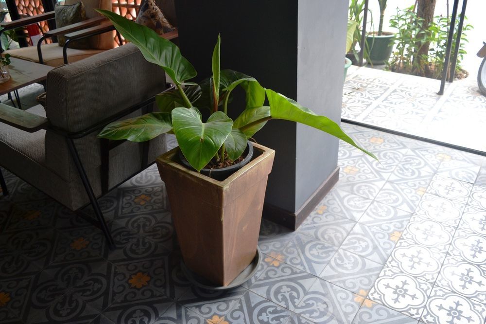 Monsoon Bassac Hotel Phnom Penh Zewnętrze zdjęcie