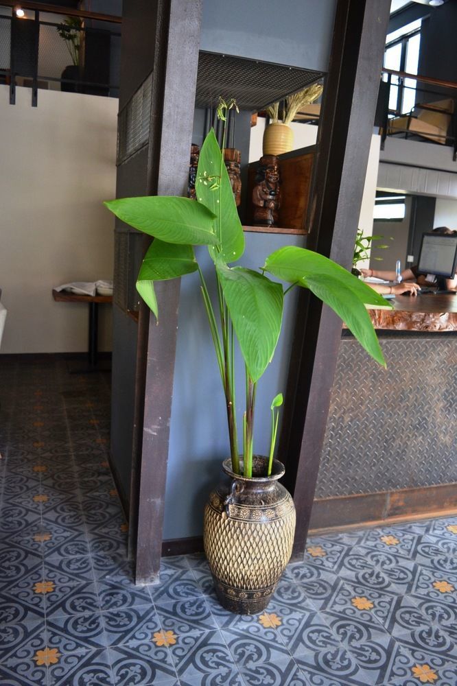 Monsoon Bassac Hotel Phnom Penh Zewnętrze zdjęcie