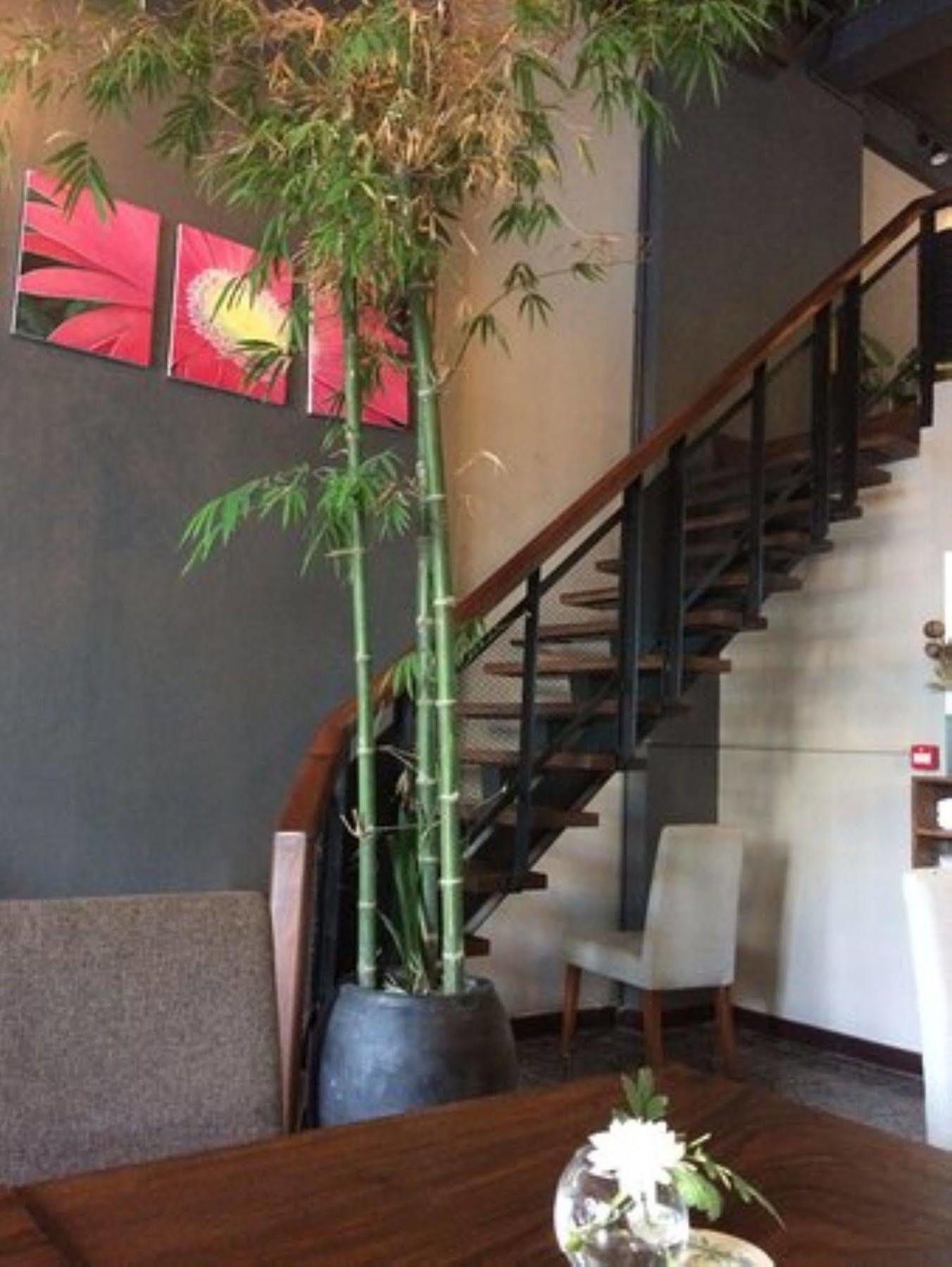 Monsoon Bassac Hotel Phnom Penh Zewnętrze zdjęcie